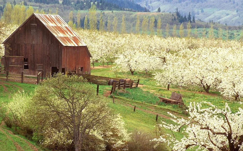 Rural Landscapes