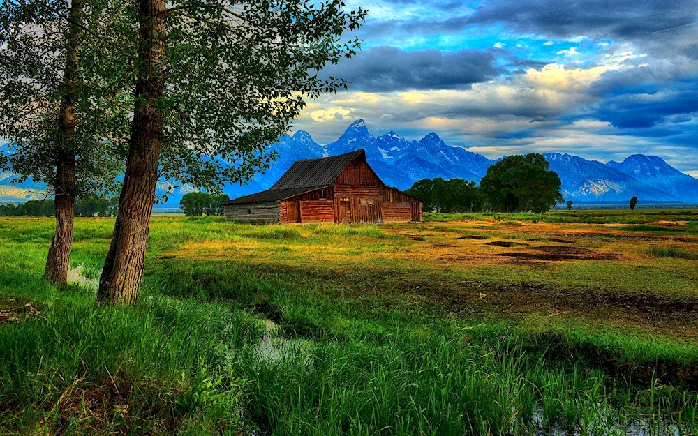 Village landscape