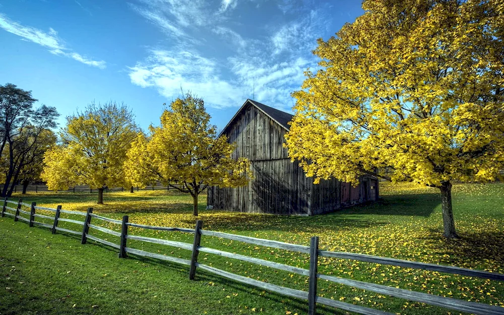 Megra village Vologda landscape