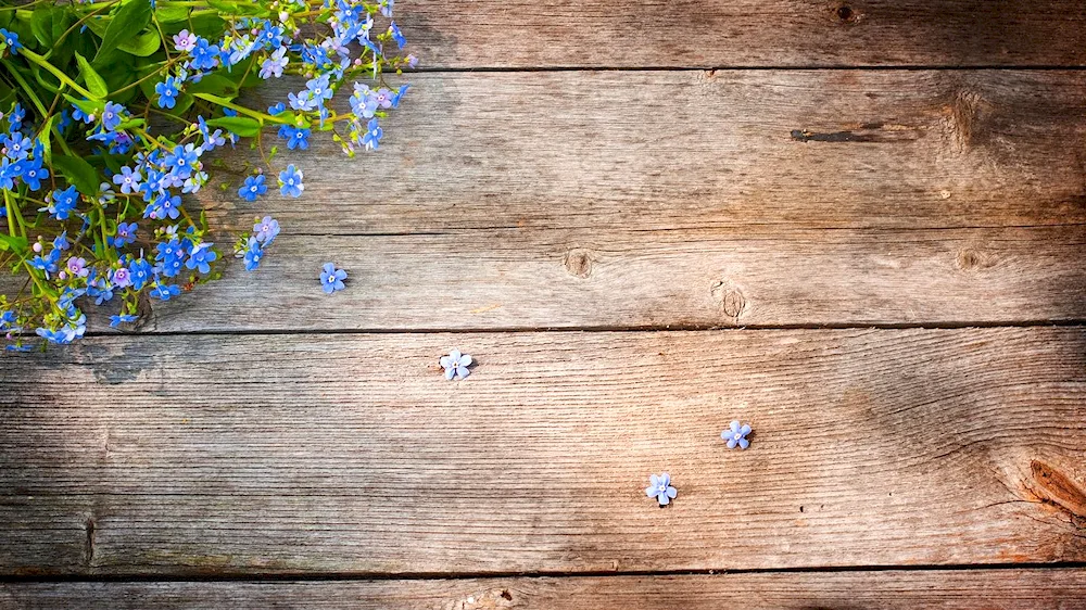 Wooden background