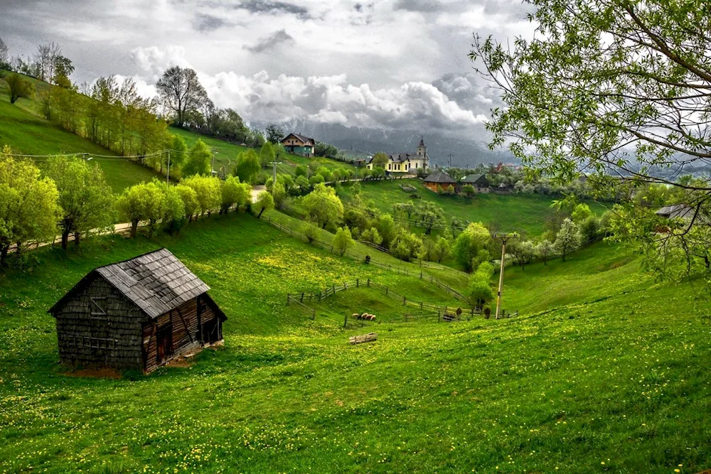 Village on the Hill Cherepovets