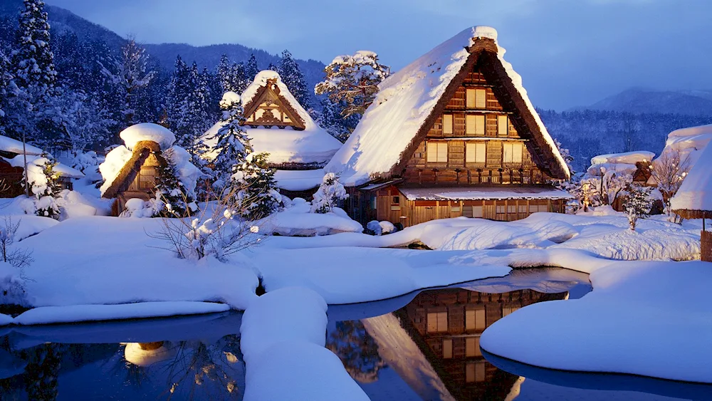 Winter forest cabin