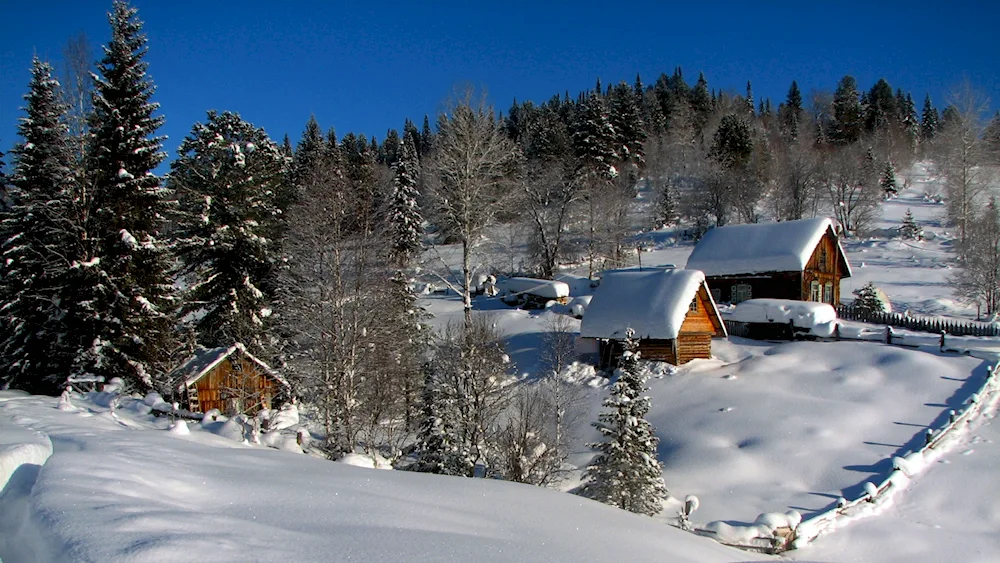 Village in winter