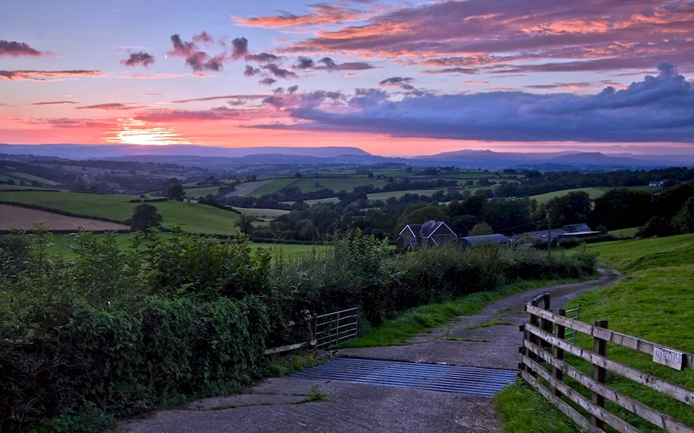 Village Vaibe sunset summer