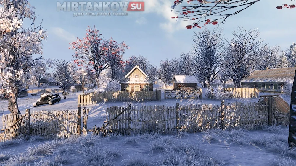 Barbukovo village in winter Vologda