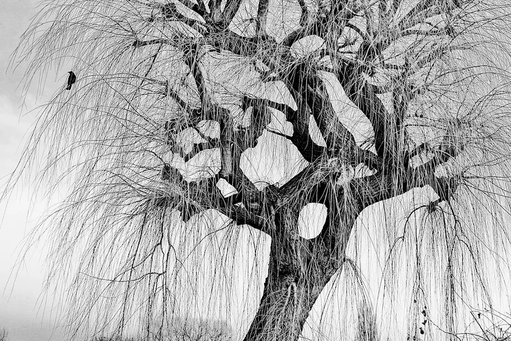 Landscape drawing