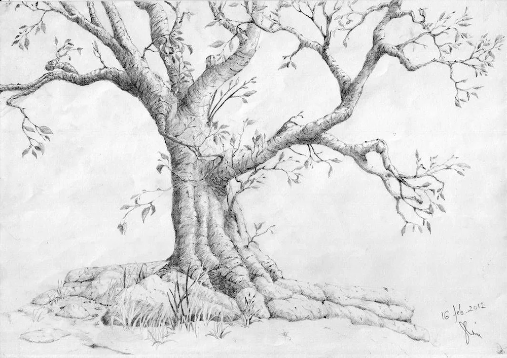 Draw a tree