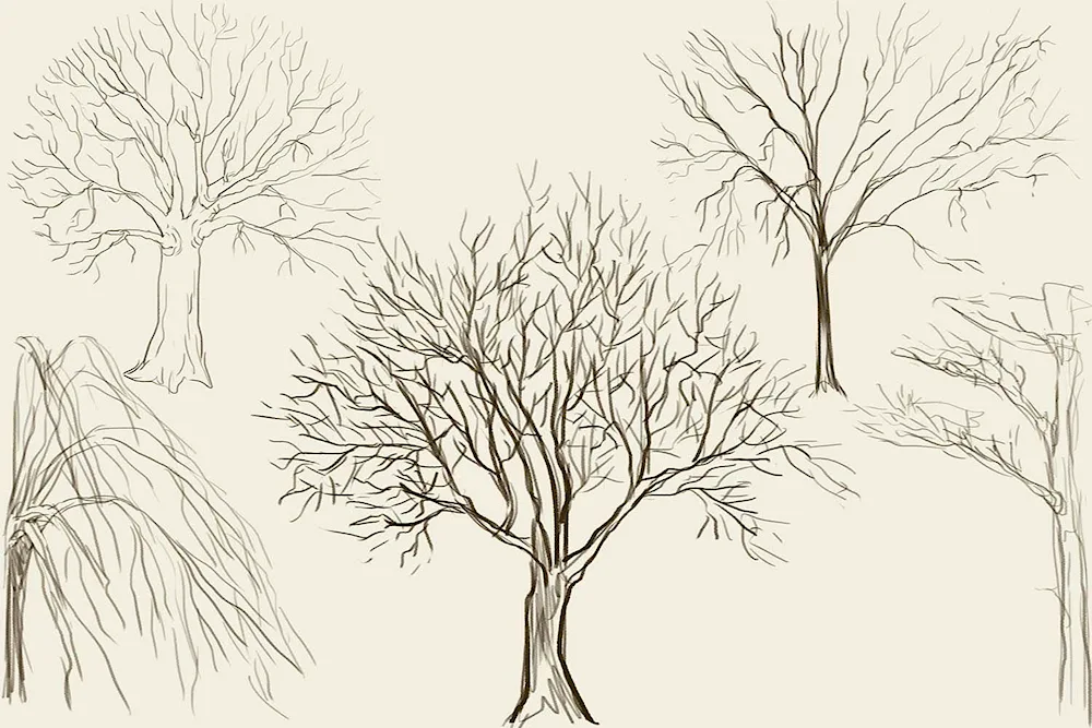 Tree drawing