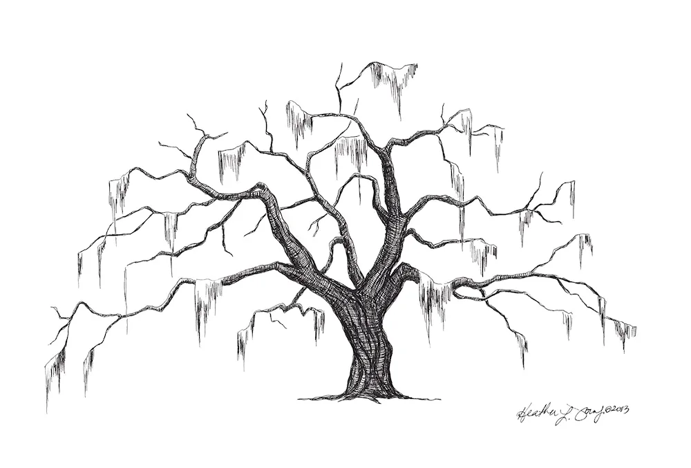 Landscapes for drawing