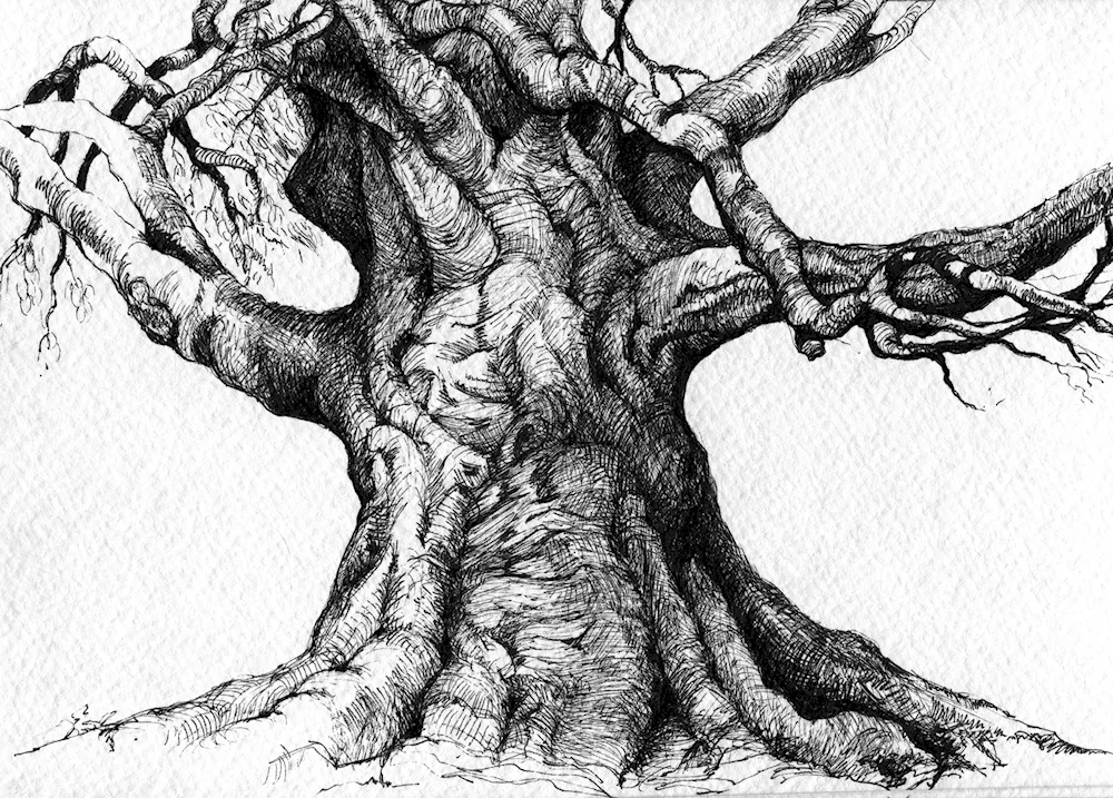 Landscape drawing