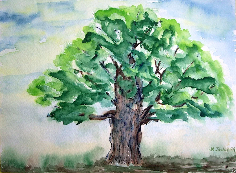 Tree drawing