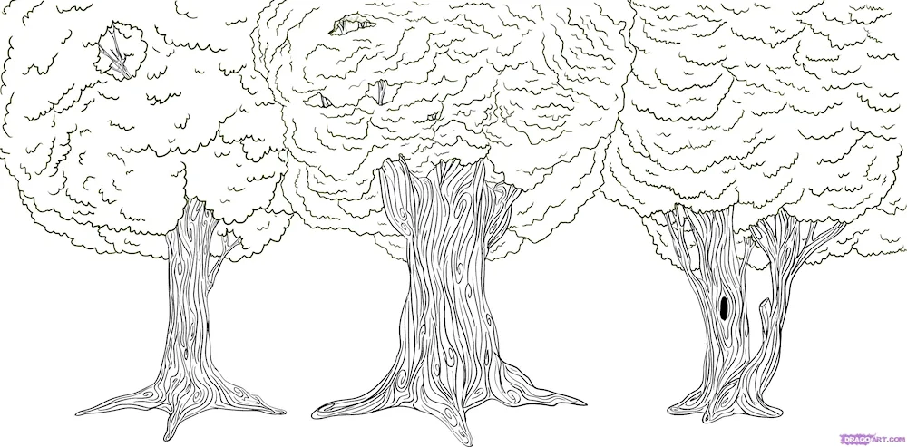 Tree sketching