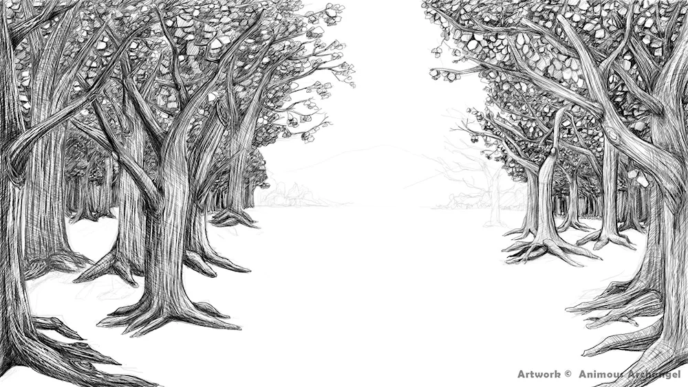 Tree sketch