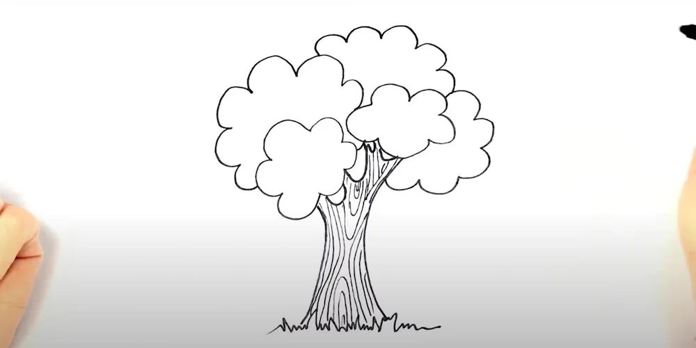Tree drawing pencil drawing