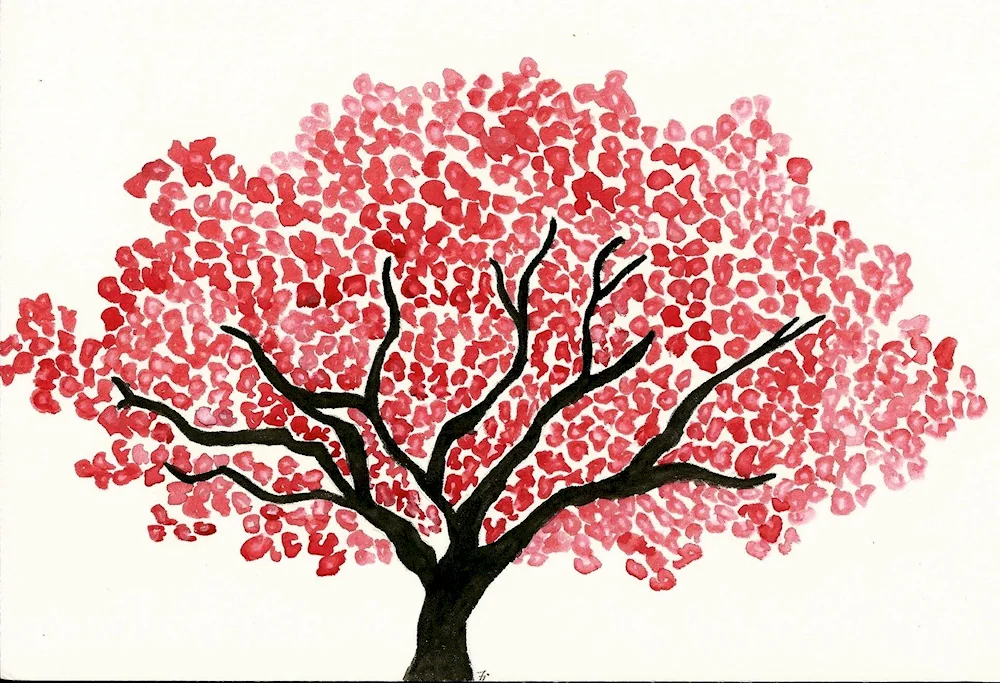 Sakura drawing