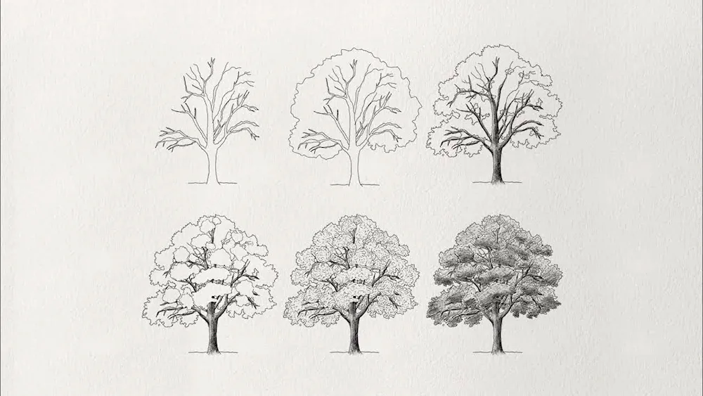 Pencil drawing