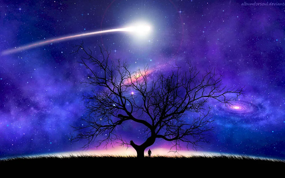Tree in space