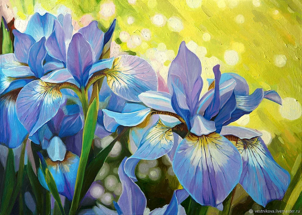 David Manakian irises