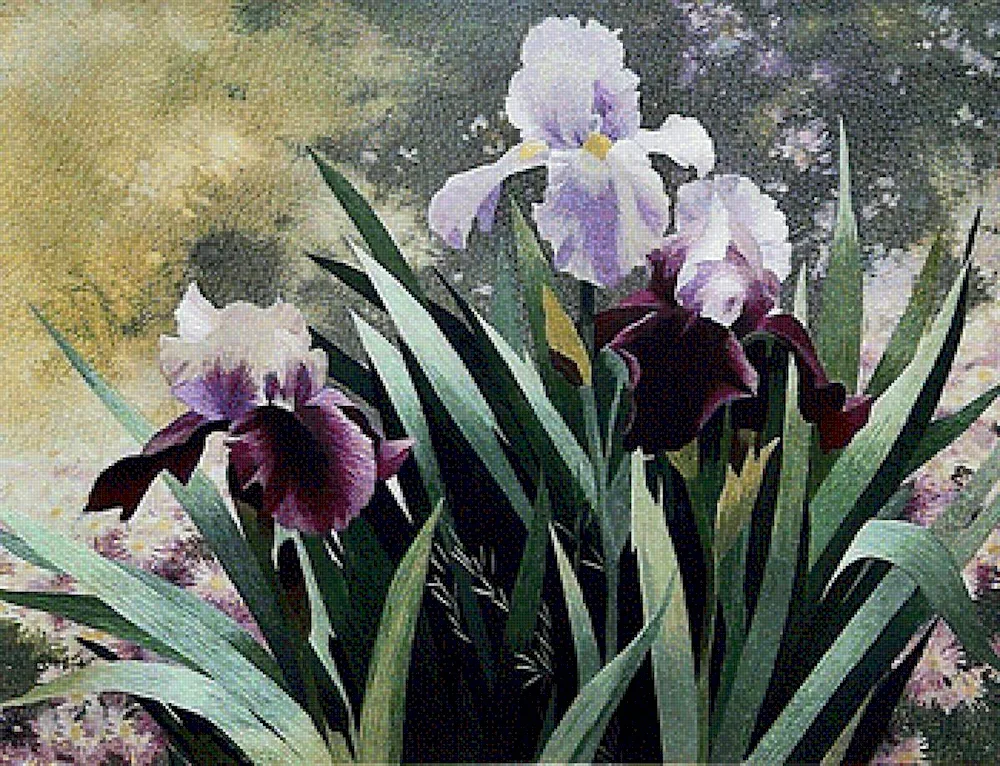 Elizabeth Horning irises