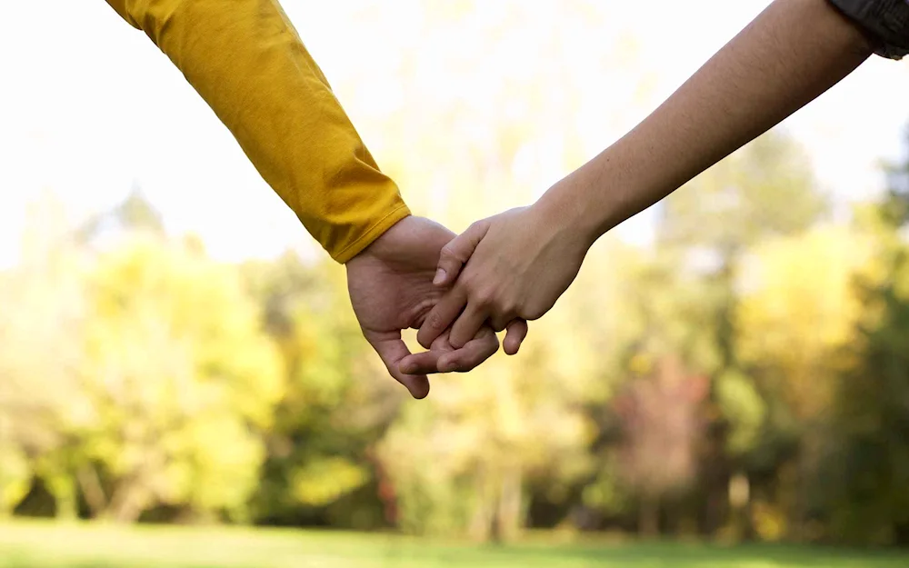 The hands of lovers in love at sunset