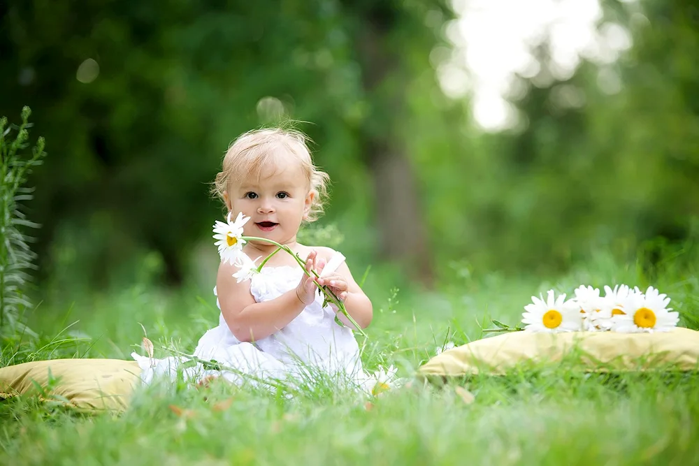Daisies for daisies