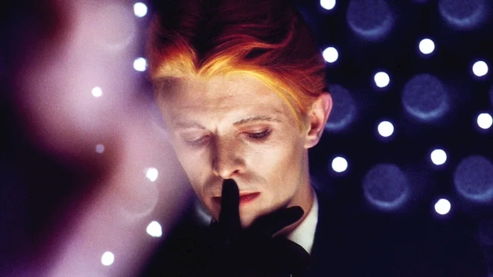 David Bowie