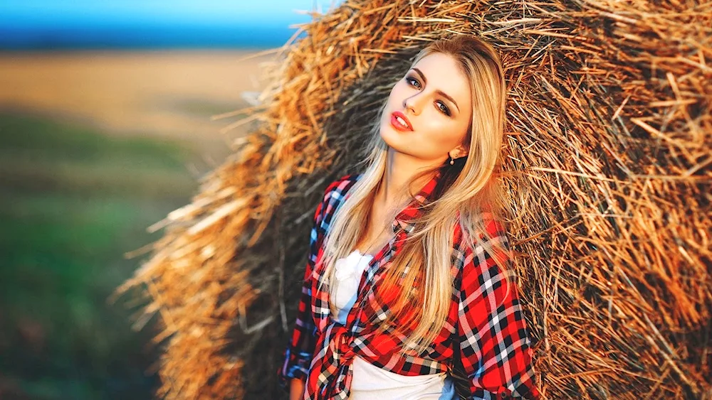 Hay background