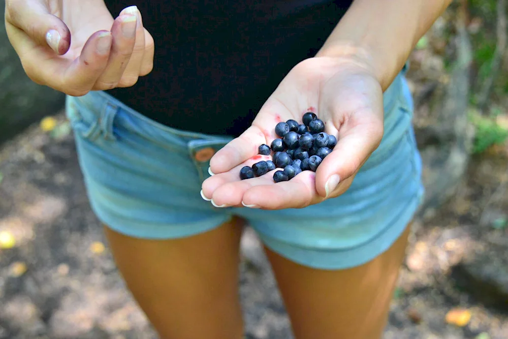 Girl with blueberry