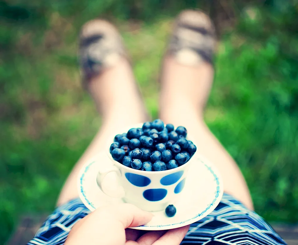 Olya blueberry