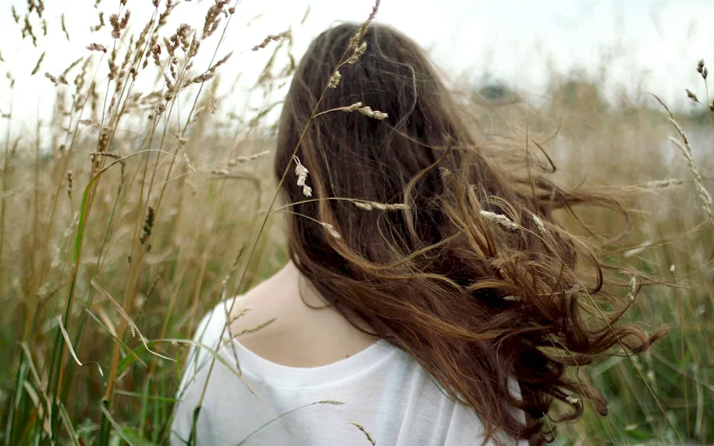 Girl with brown hair from back