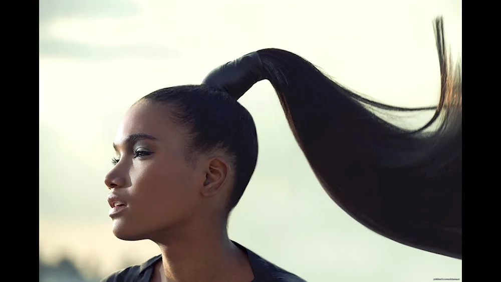 Ponytail hairstyle