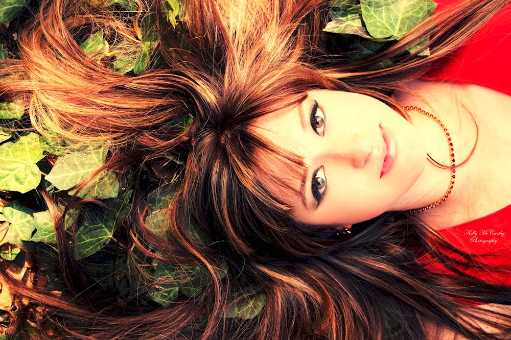 Dove feathers with red hair