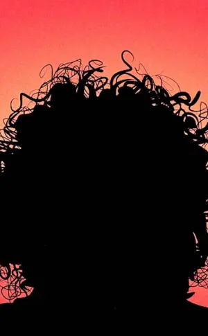 Girl with curly hair silhouette