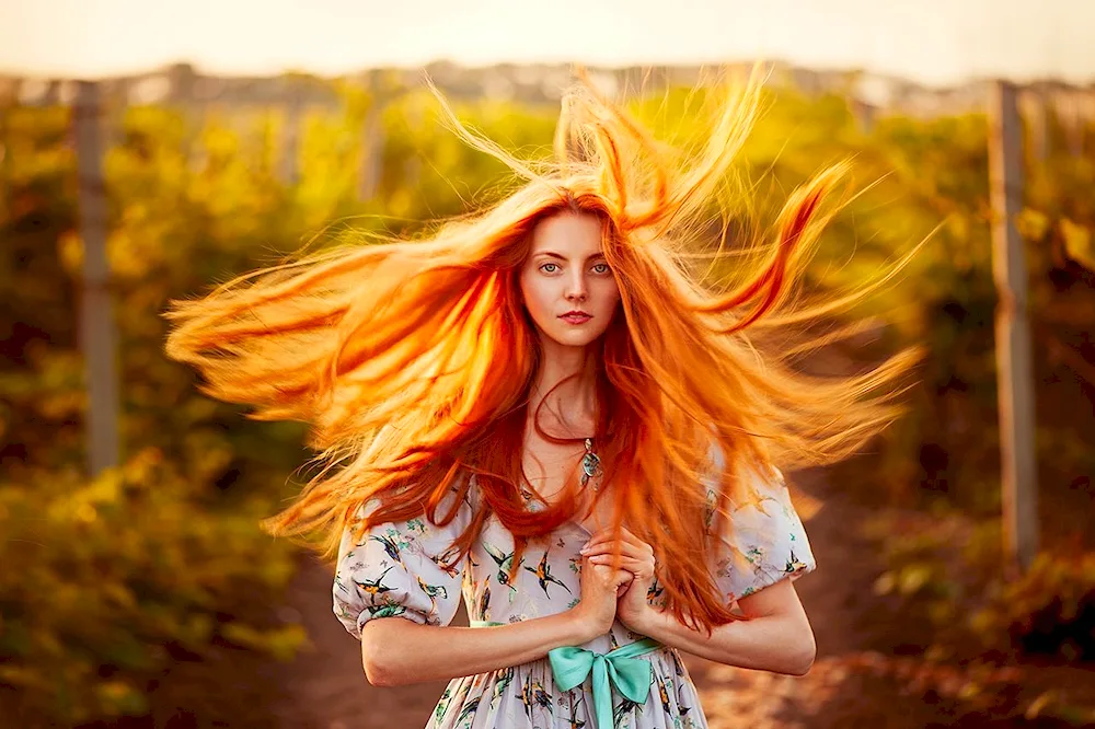 Lily Cole red curls