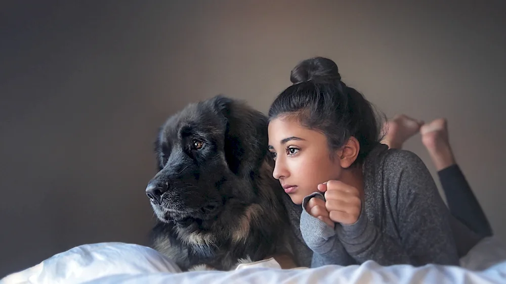 Girl with dog