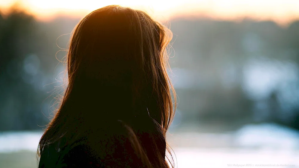 Girl with long brown hair from the back