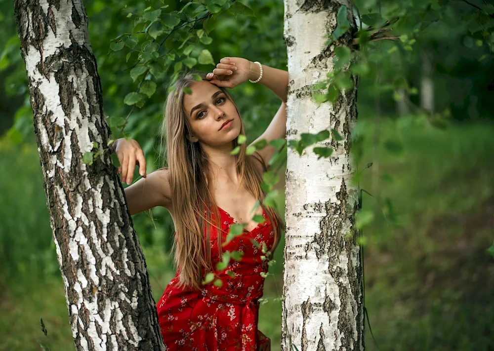 Girl in the Birch Forest