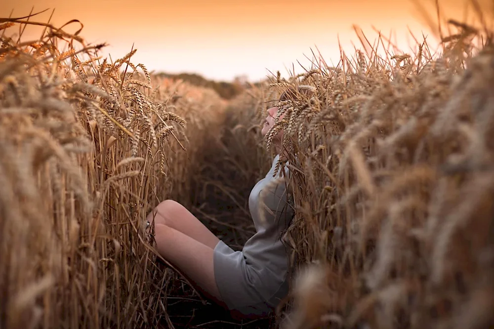 Girl in the wheat field