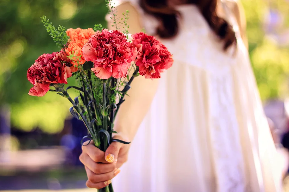 Dianthus red