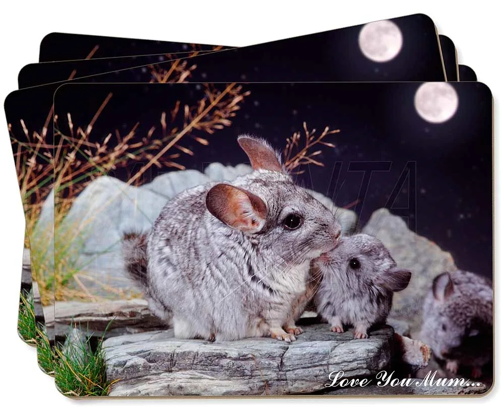 Wild chinchilla. chinchilla