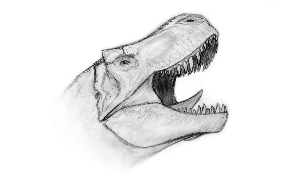 Ceratosaurus reference
