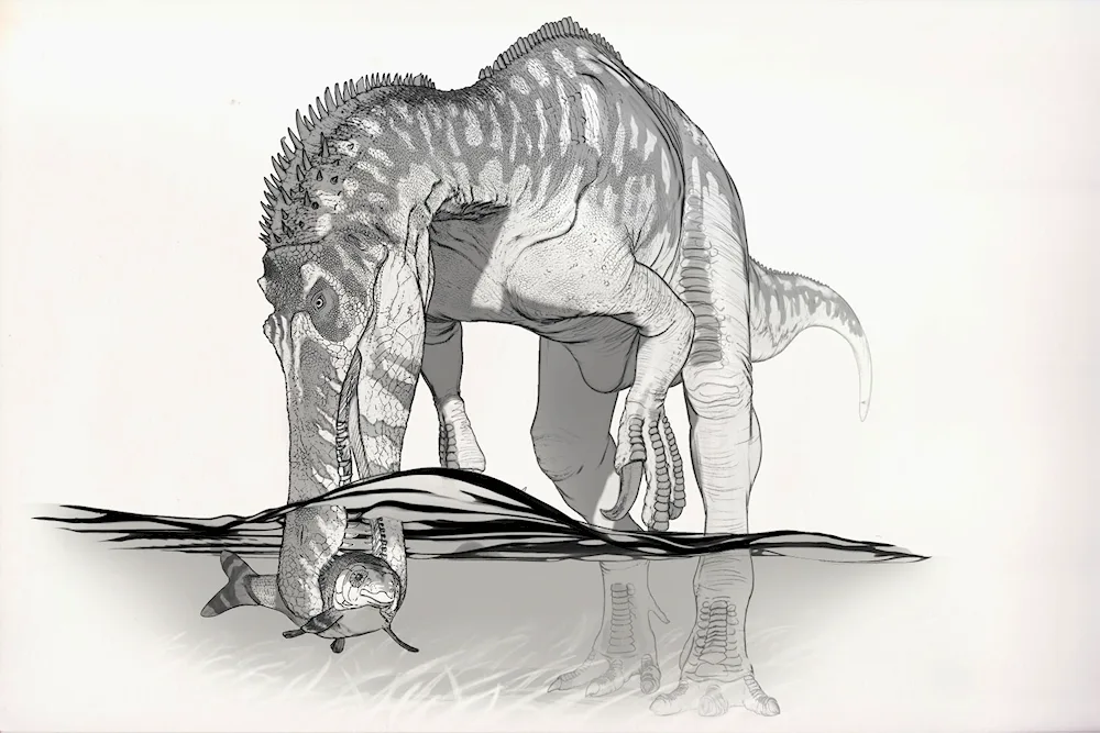 Tyrannosaurus rex outline