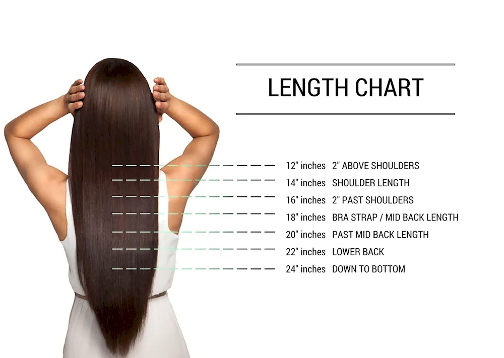 Short medium and long hair. back women's