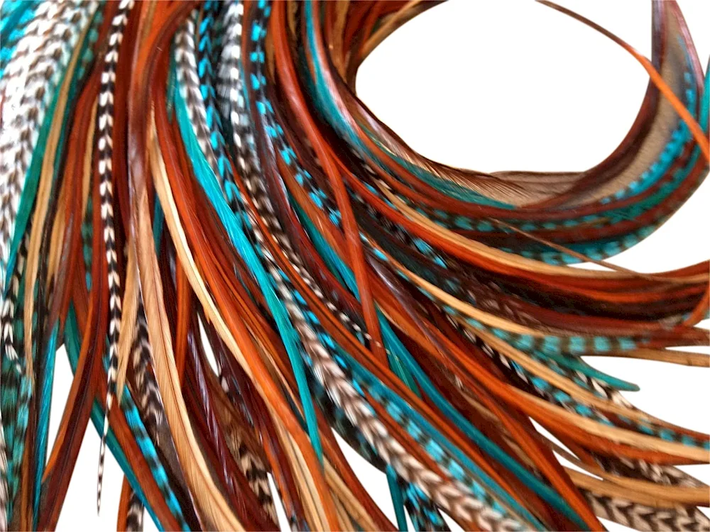 Long feathers