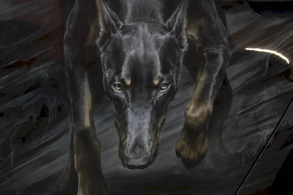 Doberman dog breeds