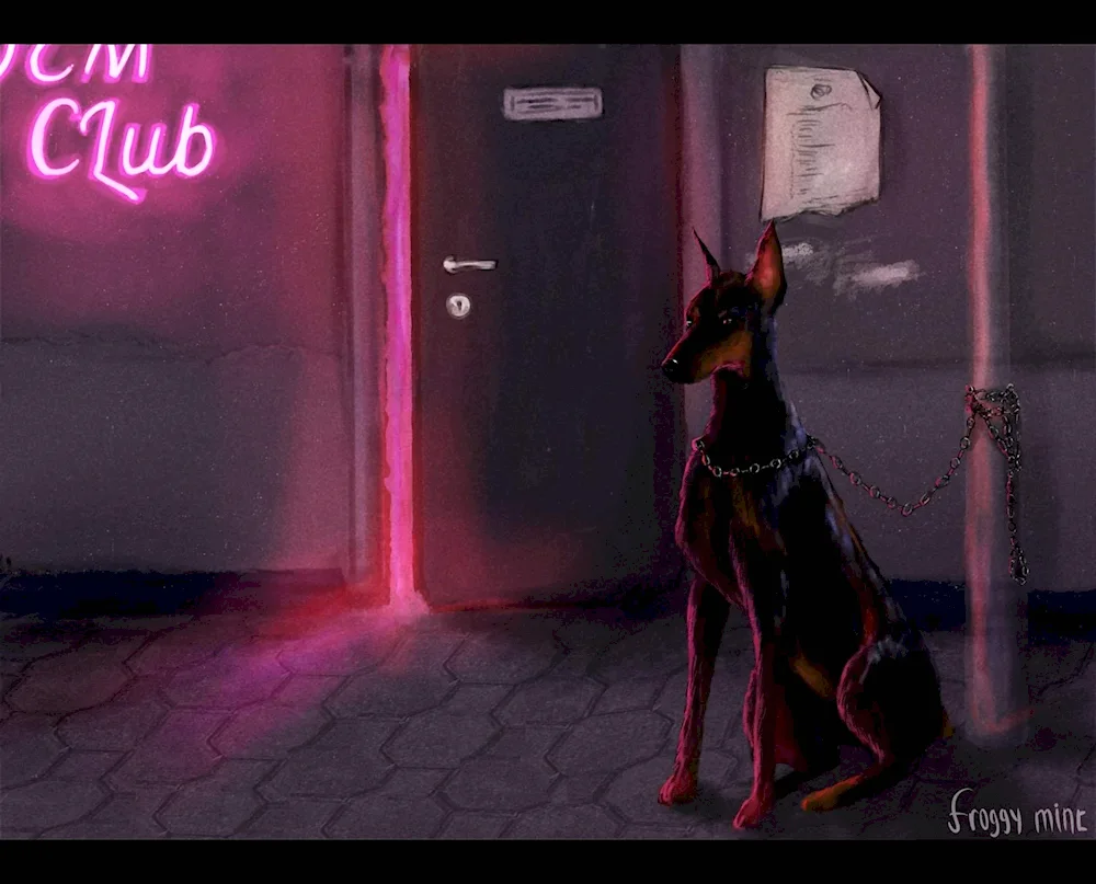 Doberman dog