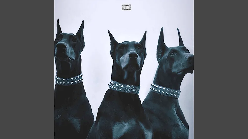 Photoshoot with doberman