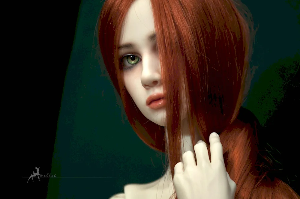Dollshe Bernard