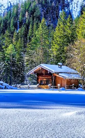 A house in the woods in winter