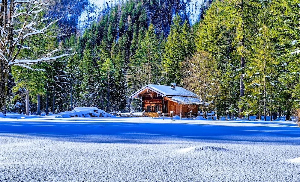 A house in the woods in winter